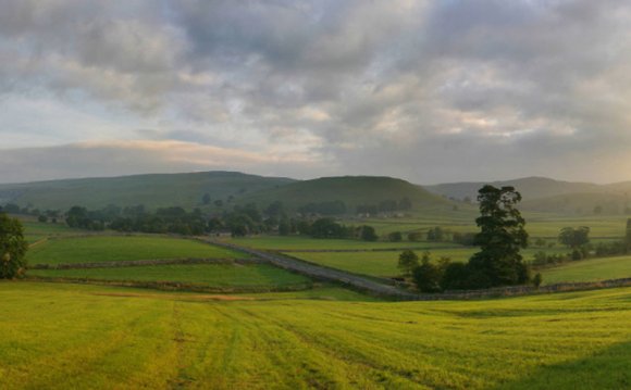 Beautiful lush green fields of