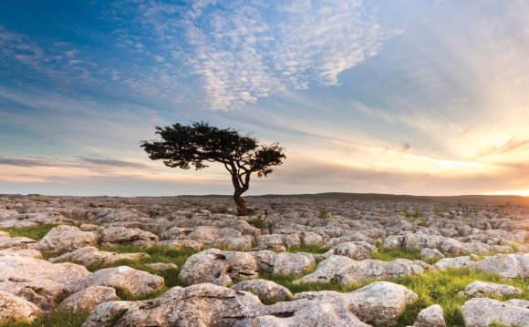 Explore the Yorkshire Dales