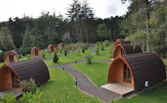 Falcon forest glamping north