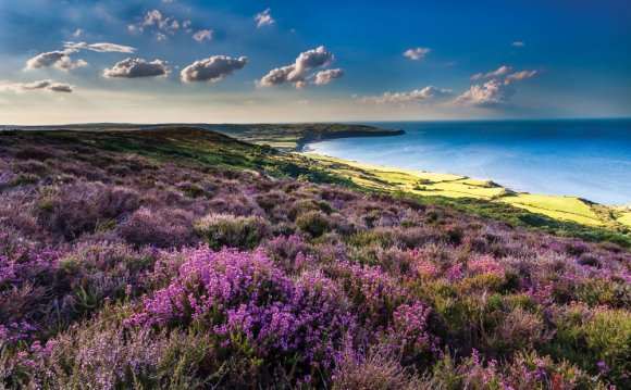 North York Moors