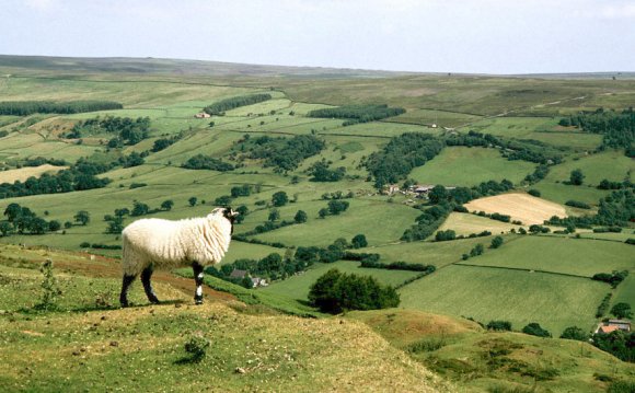 North York Moors - Wikiwand