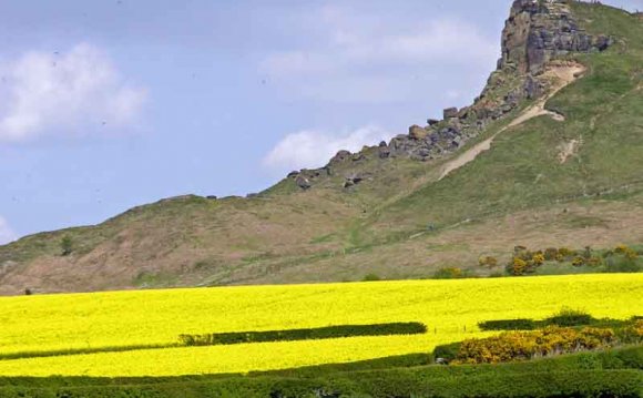 North Yorkshire Moors