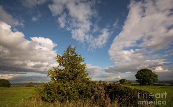 Richmond Yorks Photograph