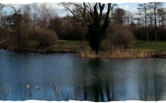 Stonebridge Fishing Lakes