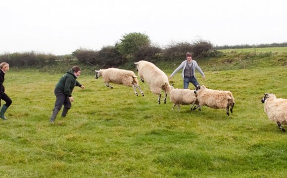 Farm Adventure, Masham - Team