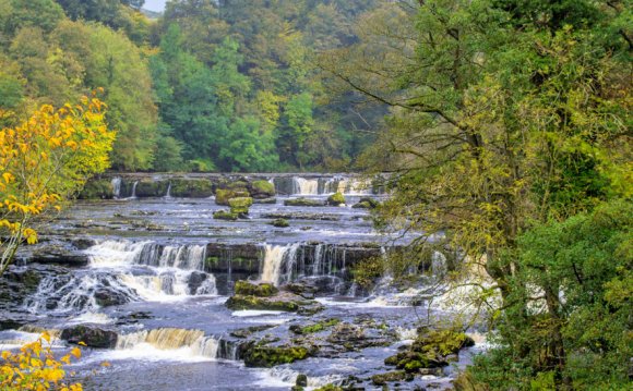 Aysgarth Falls