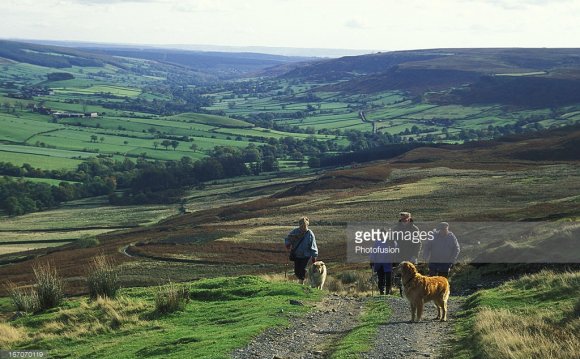 Walkers on Rosedale, North