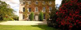 'A Georgian gem': Guests are greeted with tea and cake at Newforge House, the Irish Guest House of the Year
