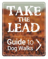 Click here to visit our guide of great Dog Walks in the UK