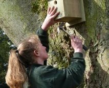 Flamingo Land Head Keeper Sam de Belle putting up a bird nest box in the park (photo courtesy of Andrew R Marshall)