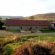 Holiday Cottages in Yorkshire Moors