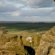 Yorkshire Moors Holiday Cottages