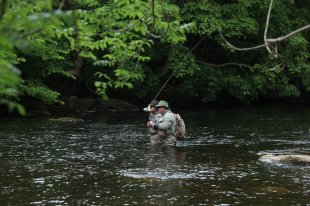 Guided days & Fly Fishing Lessons