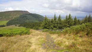 image of North York Moors National Park