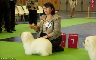 In charge: Hazel Gill, a Crufts champion, has been hired to run the spa which opens on the 17th January