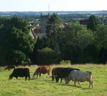 Kirkbymoorside