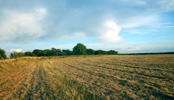 Land for Sale Grantham