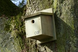 One of 45 bird boxes put up by CIRCLE research interns at Flamingo Land Theme Park and Zoo (photo courtesy of Andrew R Marshall)