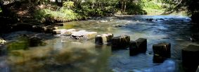 Stepping stones on River Esk at Egton Bridge by Chris Ceaser