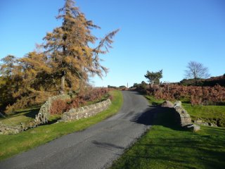 above-the-swale-near-reeth