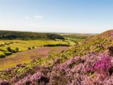 Bed and Breakfast North York Moors