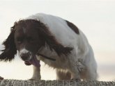 Bed and Breakfast Yorkshire Coast