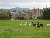 Country House Hotel and Spa