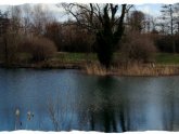 Fishing North Yorkshire