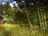 Forest Holidays Yorkshire