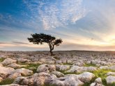 Holidays in the Yorkshire Dales