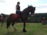 Horses for loan North Yorkshire