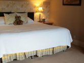 Hotels in Dales