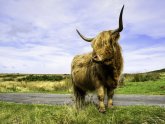 North York Moors National Park