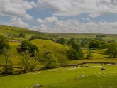 North Yorkshire Cottages