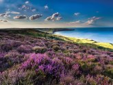 North Yorkshire Moors Walking