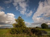 North Yorkshire Racecourse