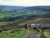 Rosedale, North Yorkshire