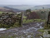 Yorkshire Moors