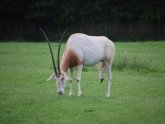 Zoos in North Yorkshire