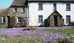 Thwaite Farm Cottage, Sedbergh