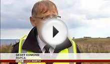 BBC Look North (East Yorkshire and Lincolnshire) 17Sep15