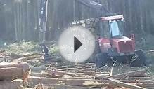 Cutting timber above Nether Silton, North Yorkshire Moors