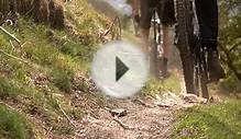 Dales Bike Centre - Mountain biking, Swaledale, Yorkshire