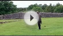 Lanner Falcon display @ Helmsley Castle.mp4