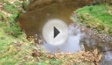 Meanders on the River Derwent, North Yorkshire