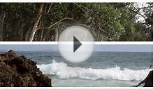 National Parks - Best places to stay in Byron Bay