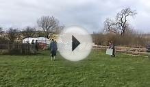 Pig Herding - Farm Adventure Activities