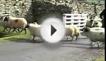 "The Yorkshire Dales" VIDEOBOOK 25th ANNIVERSARY EDITION