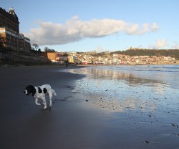 Walk on Scarborugh South Beach