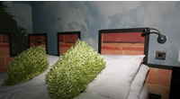 York Hostels and Campus Accommodation York Hostels and Campus Accommodation